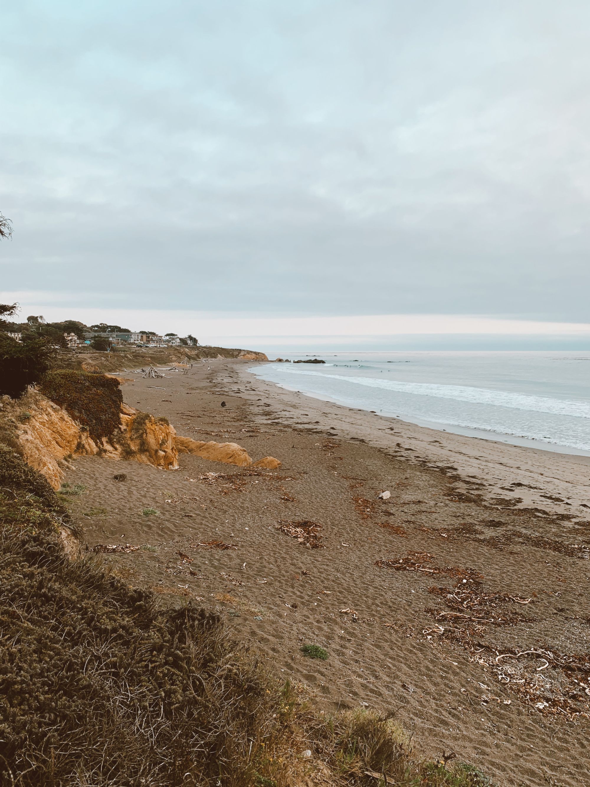 A quiet beach with a rocky shore, sparse vegetation, and gentle waves under a cloudy sky, stretching into the distance.