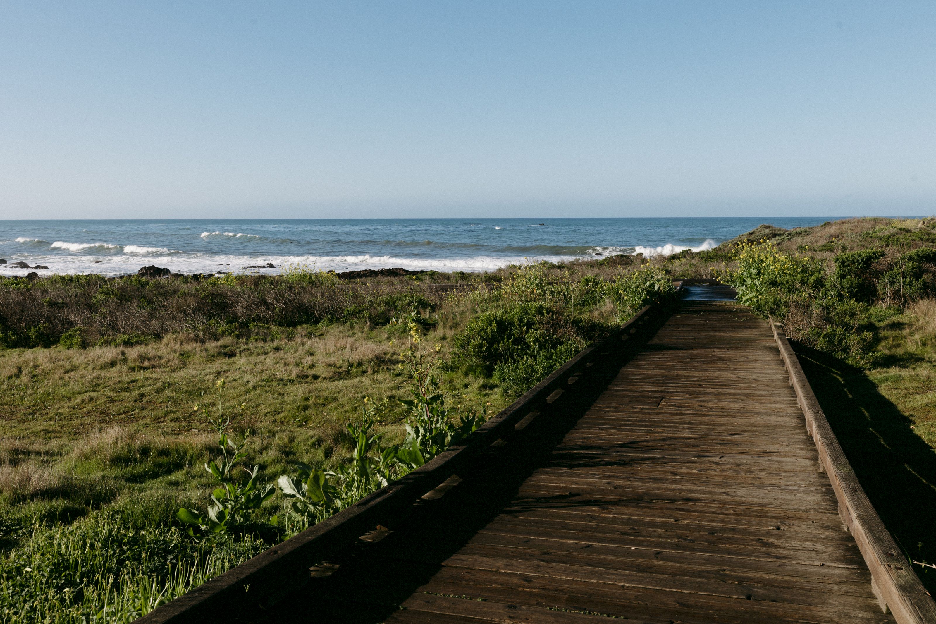 A wooden boardwalk leads to a beach with green grass and ocean views.