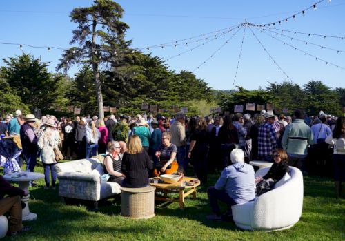A large outdoor gathering with people seated and standing, surrounded by trees, under string lights.
