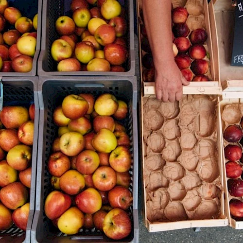 A market stall displays various apples in crates, with prices noted on chalkboards, and a person arranging them.