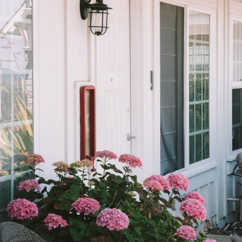 A white door entry with a black wall lantern, pink hydrangea blossoms in a chair planter by the door.