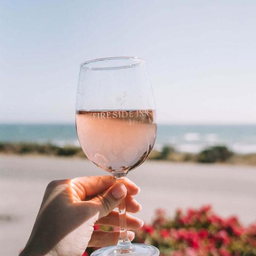 A hand raises a wine glass against a sunny ocean view with flowers in the foreground, celebrating a relaxing seaside moment.