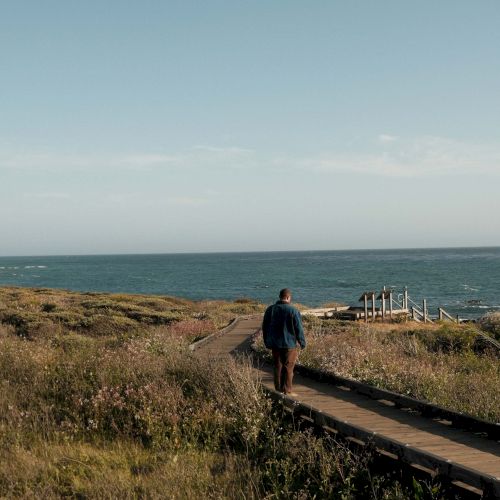 A person walks a dusty path along coastal scrub toward the sea, with blue sky above and a calm horizon.