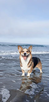 Fireside Inn on Moonstone Beach